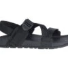 Chaco Men's Lowdown Sandal