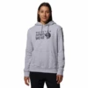 Mountain Hardwear Women's MHW Logo™ Pullover Hoody -Arctery Clothing Shop mountain hardwear womens mhw logo pullover hoody