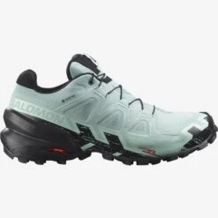 Salomon Women's Speedcross 6 Gore-Tex